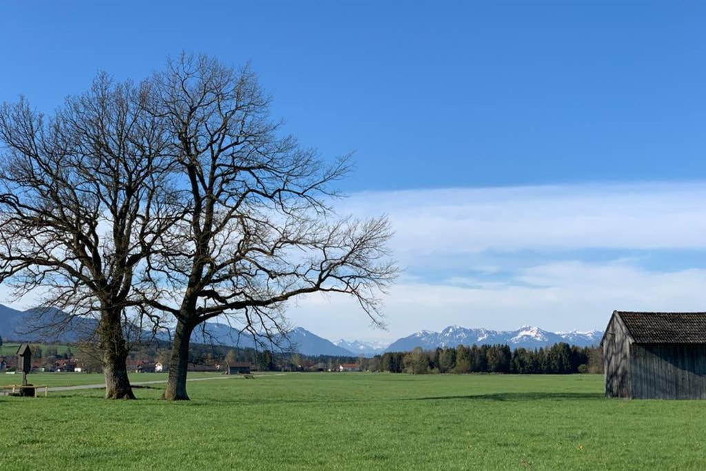 Ferienhaus Koenigsdorf - Urlaub Im Toelzer Land Konigsdorf Εξωτερικό φωτογραφία